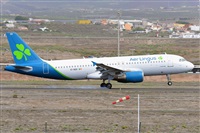 Miguel A. gueda Rguez.  (CANARY ISLANDS SPOTTING). Click to see full size photo