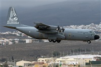 ©Adolfo Bento - Gran Canaria Spotters. Click to see full size photo ©Adolfo Bento - Gran Canaria Spotters. Click to see full size photo
