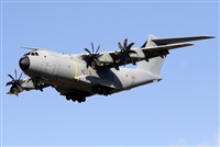 ©Javier Rodríguez. Click to see full size photo ©Javier Rodríguez. Click to see full size photo