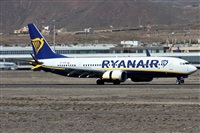 Alfonso Sols - Asociacin Canary Islands Spotting. Click to see full size photo