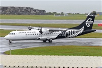 �Miguel A. �gueda Rguez.  (CANARY ISLANDS SPOTTING). Click to see full size photo