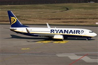 �Daniel Schwinn. Click to see full size photo