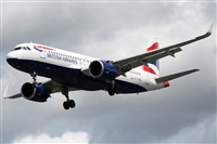 �Alfonso Sol�s - Asociaci�n Canary Islands Spotting. Click to see full size photo