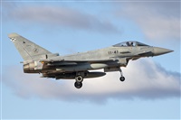 �Vicente Aguil�. Click to see full size photo