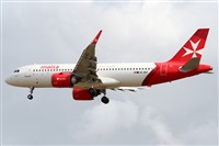 �Alfonso Sol�s - Asociaci�n Canary Islands Spotting. Click to see full size photo