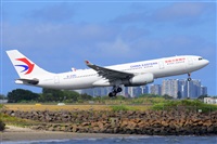 �Miguel A. �gueda Rguez.  (CANARY ISLANDS SPOTTING). Click to see full size photo