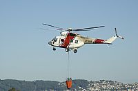 Adrin Chapela Cordeiro - Gallaecia Spotters. Click to see full size photo