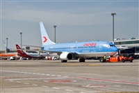 Javier de la Cruz - CANARY ISLANDS SPOTTING. Click to see full size photo