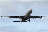 ALAMO AIRLINES.CANARY ISLANDS SPOTTING. Click to see full size photo