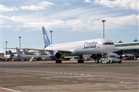 Javier de la Cruz - CANARY ISLANDS SPOTTING. Click to see full size photo