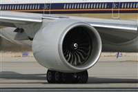 Jos Miguel Bernases - Noisy Spotters. Click to see full size photo