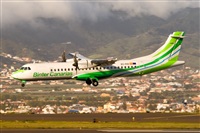 Javier de la Cruz - CANARY ISLANDS SPOTTING. Click to see full size photo