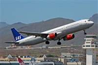 Miguel A. gueda Rguez.  (CANARY ISLANDS SPOTTING). Click to see full size photo