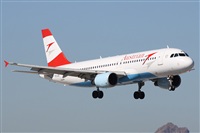 Alfonso Sols - Asociacin Canary Islands Spotting. Click to see full size photo