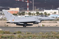 Alfonso Sols - Asociacin Canary Islands Spotting. Haz click para ampliar