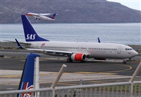 Alejandro H.L - Gran Canaria Spotters. Click to see full size photo
