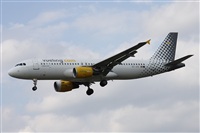 ©Alfonso Solís - Asociación Canary Islands Spotting. Click to see full size photo ©Alfonso Solís - Asociación Canary Islands Spotting. Click to see full size photo