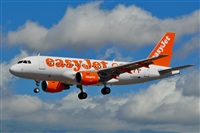 Miguel A. gueda Rguez.  (CANARY ISLANDS SPOTTING). Click to see full size photo