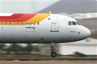 Adrin Alonso Lemes - Lanzarote Spotters. Click to see full size photo
