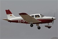 Adrin Alonso Lemes - Lanzarote Spotters. Haz click para ampliar