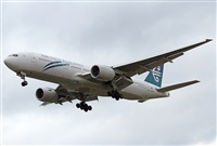 Jos Miguel Bernases - Noisy Spotters. Click to see full size photo