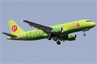Rodrigo Carvalho - Noisy Spotters. Click to see full size photo