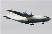 Alberto Adn Garca (Canary Islands Spotting). Click to see full size photo