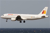 Rubn Gil - Noisy Spotters. Click to see full size photo