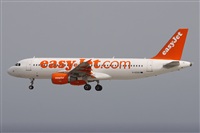 Alfonso Sols - Asociacin Canary Islands Spotting. Click to see full size photo