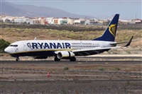 Alfonso Sols - Asociacin Canary Islands Spotting. Haz click para ampliar