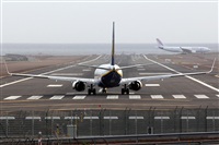 Adrin Alonso Lemes - Lanzarote Spotters. Click to see full size photo