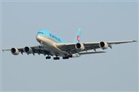 norber. Click to see full size photo