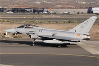 ©Alfonso Solís - Asociación Canary Islands Spotting. Click to see full size photo ©Alfonso Solís - Asociación Canary Islands Spotting. Click to see full size photo