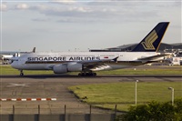 Javier de la Cruz - CANARY ISLANDS SPOTTING. Click to see full size photo