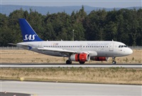 Miguel Alia - Noisy Spotters. Click to see full size photo