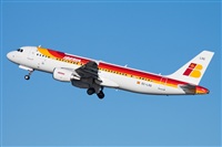 Miguel Alia - Noisy Spotters. Click to see full size photo