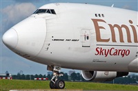 Miguel Martin Cordeiro - Iberian Spotters. Click to see full size photo