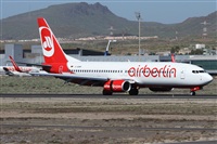 ©Alfonso Solís - Asociación Canary Islands Spotting. Click to see full size photo ©Alfonso Solís - Asociación Canary Islands Spotting. Click to see full size photo