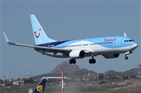 Alfonso Sols - Asociacin Canary Islands Spotting. Click to see full size photo
