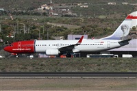 ©Alfonso Solís - Asociación Canary Islands Spotting. Click to see full size photo ©Alfonso Solís - Asociación Canary Islands Spotting. Click to see full size photo