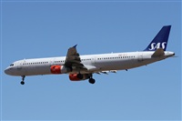 ©Alfonso Solís - Asociación Canary Islands Spotting. Click to see full size photo ©Alfonso Solís - Asociación Canary Islands Spotting. Click to see full size photo