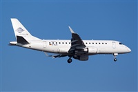 Miguel Alia - Noisy Spotters. Click to see full size photo