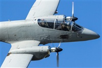 ©SS Aero Photography. Click to see full size photo ©SS Aero Photography. Click to see full size photo