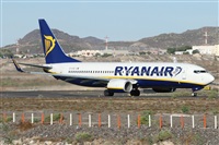 Alfonso Sols - Asociacin Canary Islands Spotting. Haz click para ampliar