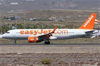 ©Alfonso Solís - Asociación Canary Islands Spotting. Click to see full size photo ©Alfonso Solís - Asociación Canary Islands Spotting. Click to see full size photo