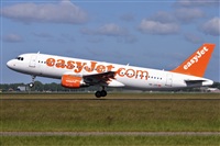 Miguel A. gueda Rguez.  (CANARY ISLANDS SPOTTING). Click to see full size photo