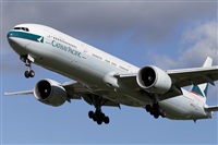 Rubn Gil - Noisy Spotters. Click to see full size photo
