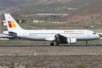 ©Alfonso Solís - Asociación Canary Islands Spotting. Click to see full size photo ©Alfonso Solís - Asociación Canary Islands Spotting. Click to see full size photo