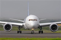 Miguel A. gueda Rguez.  (CANARY ISLANDS SPOTTING). Haz click para ampliar