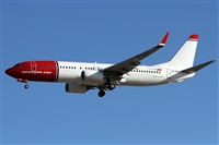 Alfonso Sols - Asociacin Canary Islands Spotting. Click to see full size photo